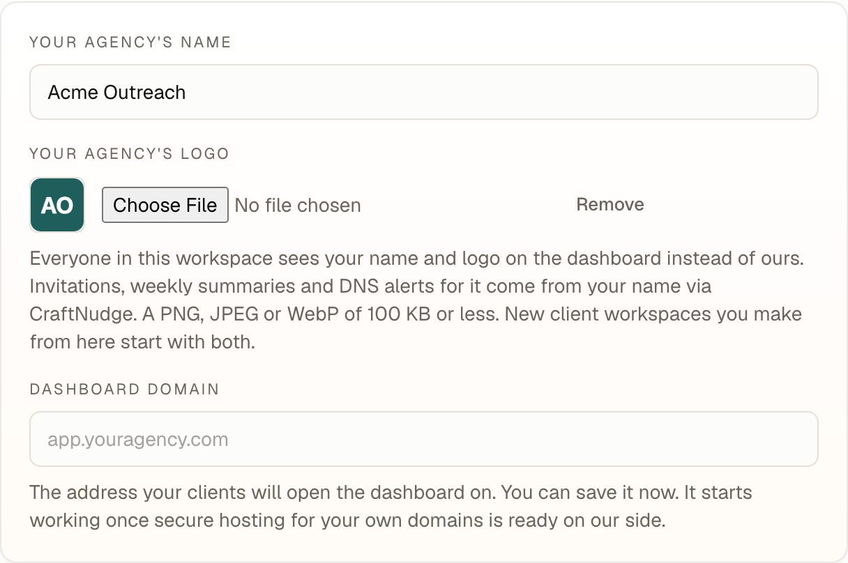Your agency's name and logo saved in a workspace's settings, with the dashboard domain field below it still empty